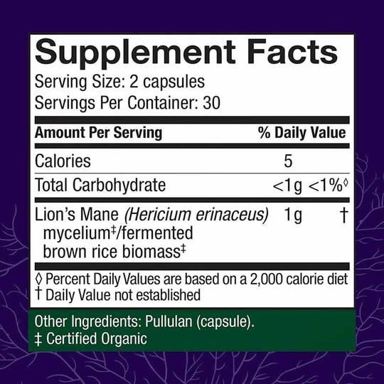 Lion's Mane Memory & Nerve Support, HDF